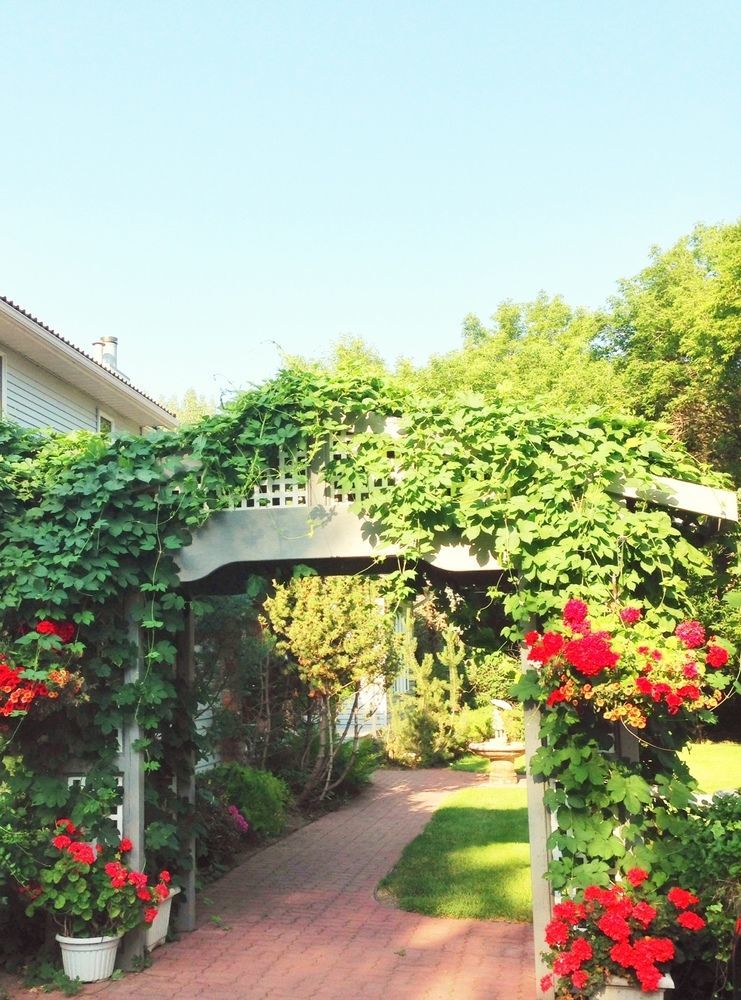 Mcdougall Lane Bed & Breakfast ドラムへラー エクステリア 写真